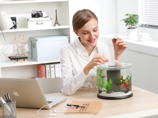 1604138405970072.jpg 未標(biāo)題-2.jpg