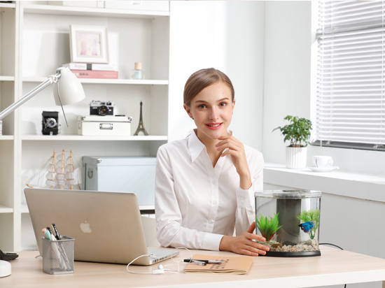 1604138441402956.jpg 未標題-2.jpg