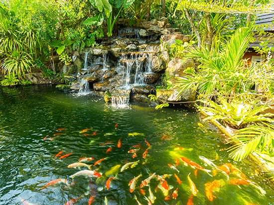 1604401799561342.jpg 00.jpg